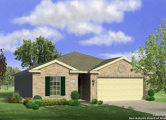 2nd image of 12218 Switchgrass