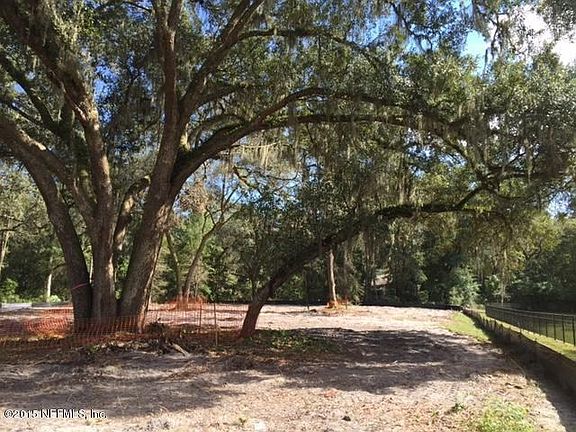 Magnificent Oaks