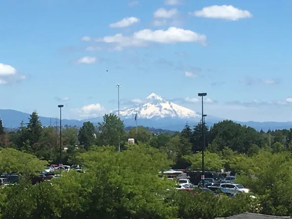 Pines on 104 LLC, 301-415 NE 104th Ave #319B, Vancouver, WA 98664