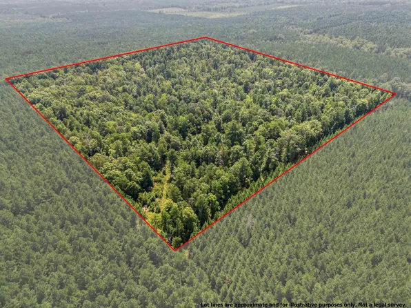 9808 Forestry Rd, Sheridan, AR 72150