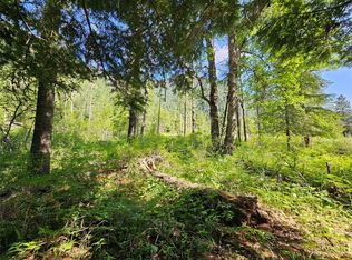 1 Conifer Ln, Noxon, MT 59853