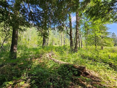 1 Conifer Ln, Noxon, MT, 59853