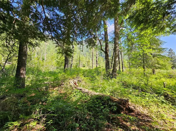 1 Conifer Ln, Noxon, MT 59853