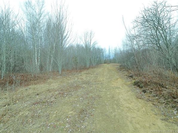 LOT Elm St, Chipman, NB E4A 1X6