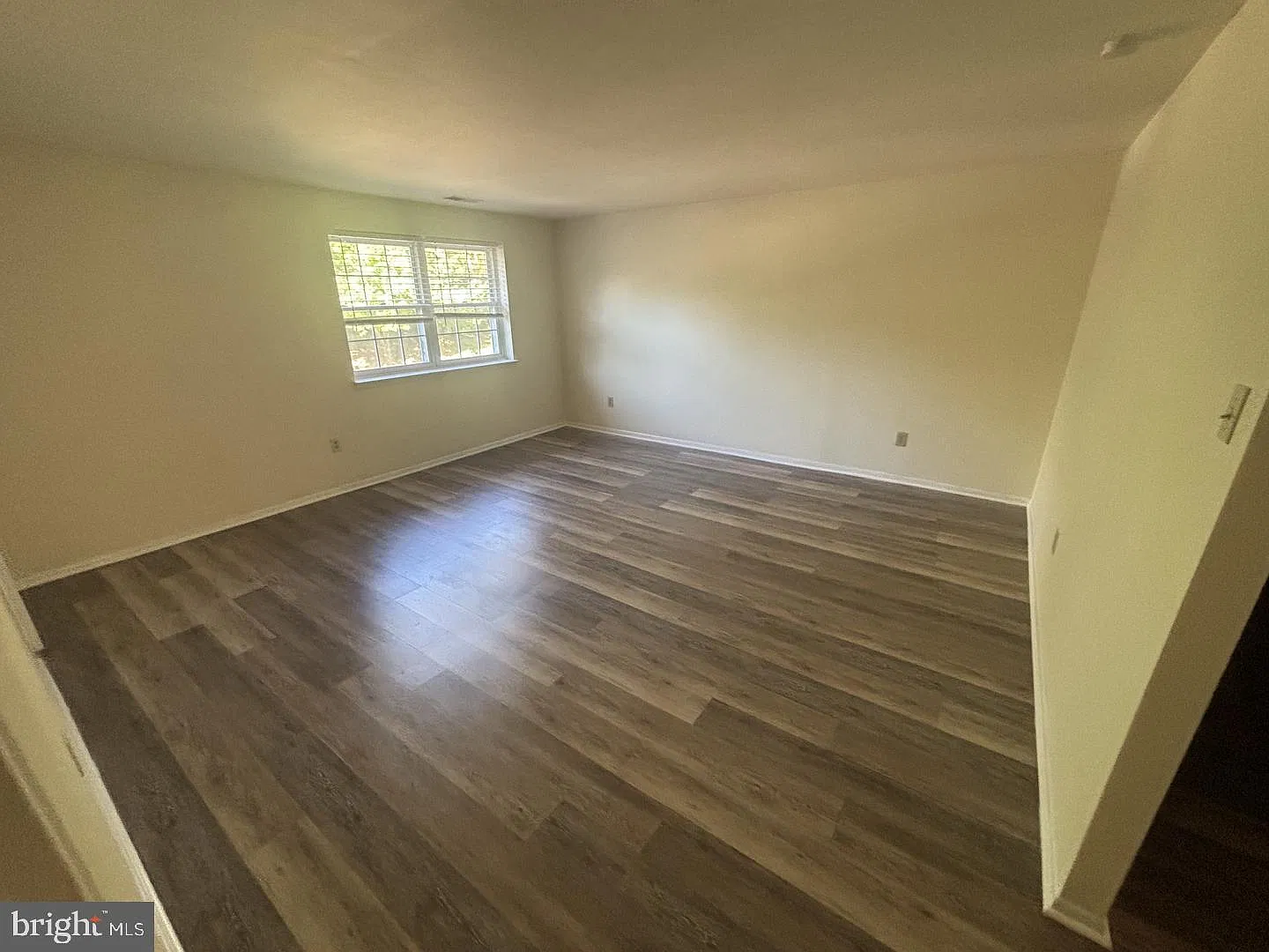 1 bed, 1.0 bath, 920 sqft, $1,650 — Photo 2