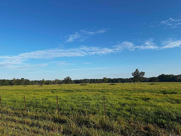 3rd image of 42296 Richard Waguespack Rd