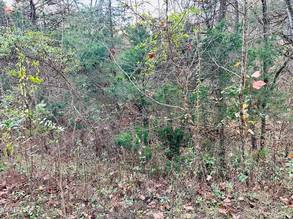 Old Springs Rd, Washburn, TN 37888