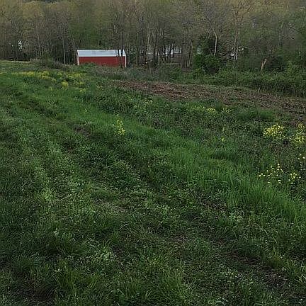 4th image of 22620 County Road 9000
