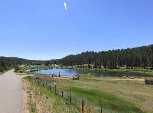 11703 S Juniper Rd, Pine, CO 80470
