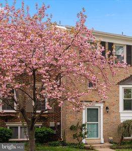 2409 Falls Place Ct, Falls Church, VA, 22043