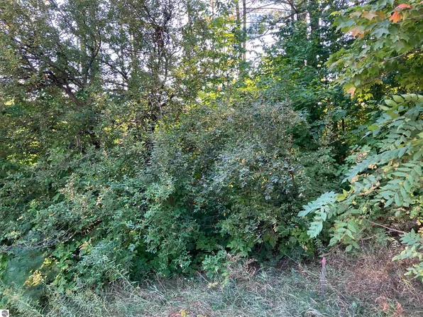 0 Cool Rd SE Lot A, Kalkaska, MI 49646