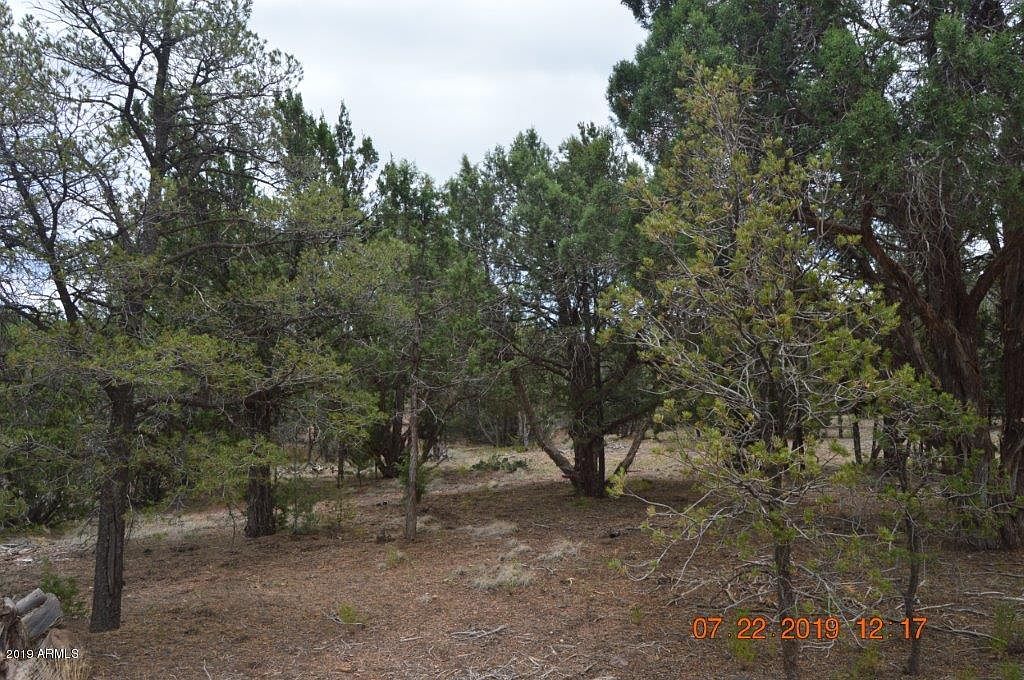 2145 Graphite Rd, Clay Springs, AZ 85923 Zillow