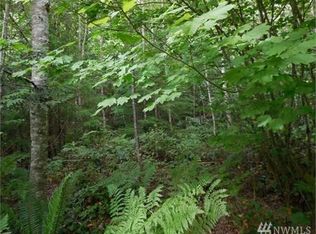 60876 Cascade River Rd, Marblemount, WA 98267