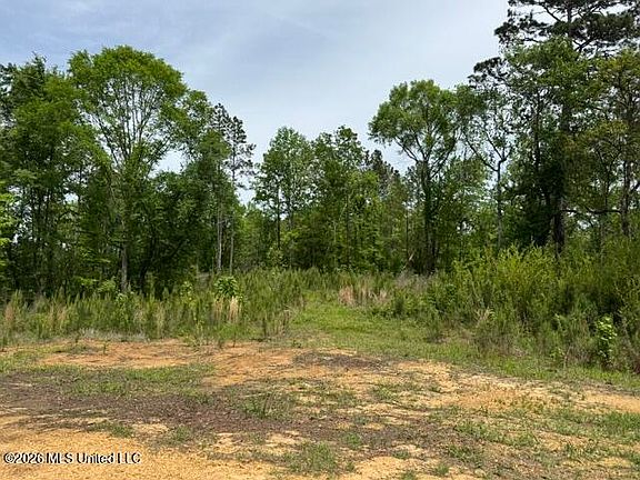 5th image of 104 Homochitto National Forest Rd