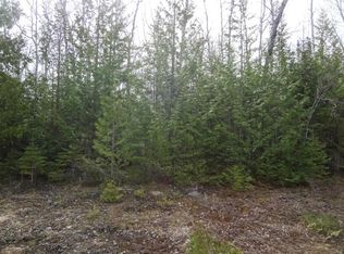 Pineview Dr, Presque Isle, MI 49777