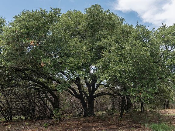 Tract 7 - Shiloh Vista Ranch | Tolar, Texas