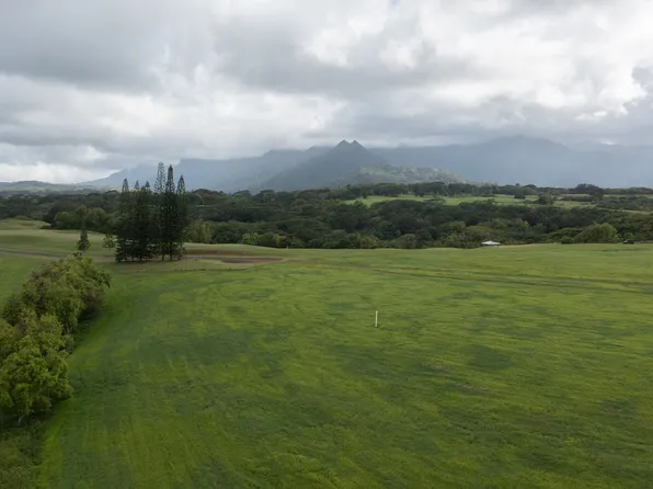 4143 Hihimanu Rd #20, Kilauea, HI 96754