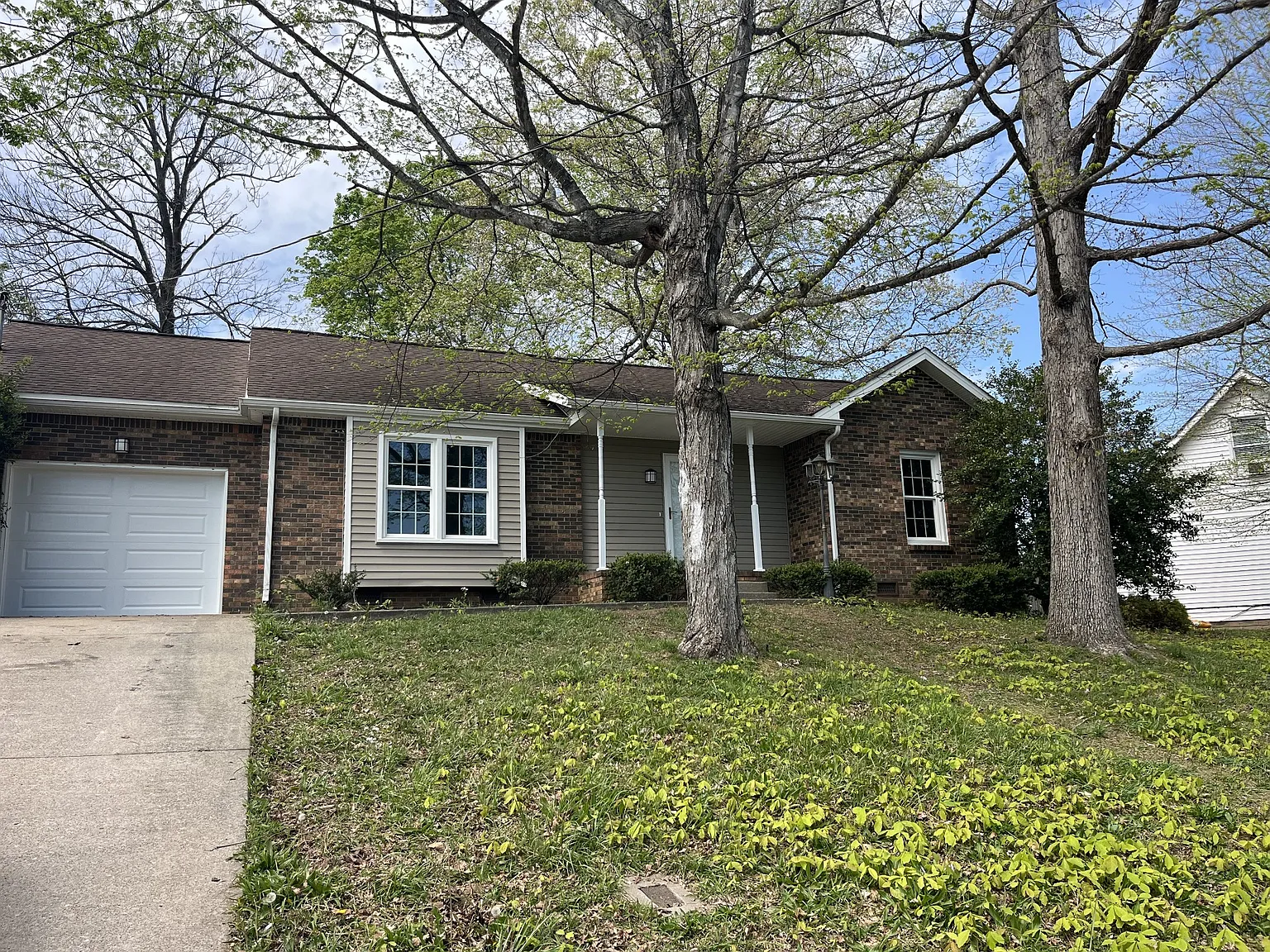 1710 Thistlewood Dr photo 1