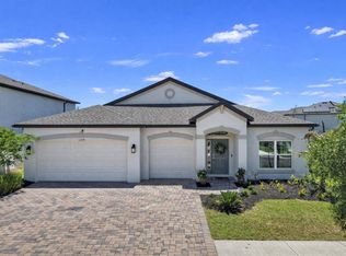 12048 Orchid Ash St, Riverview, FL 33579