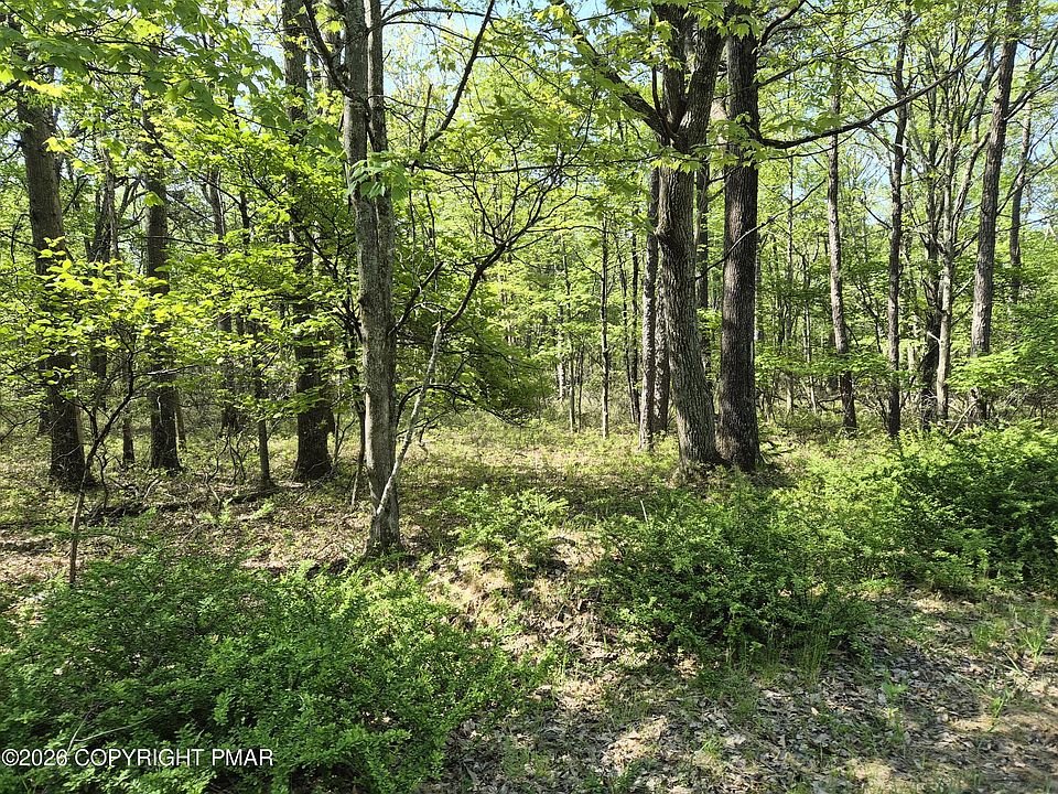 1st image of Lower Seese Hill Rd