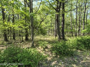 Lower Seese Hill Rd, Canadensis, PA 18325