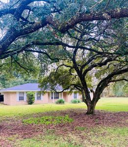 1025 Highway 115, Saint Landry, LA, 71367