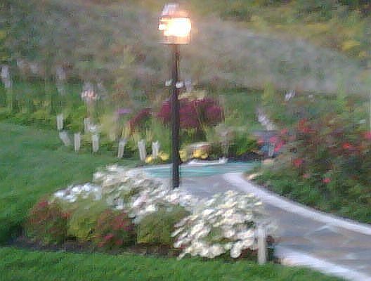 entry in spring