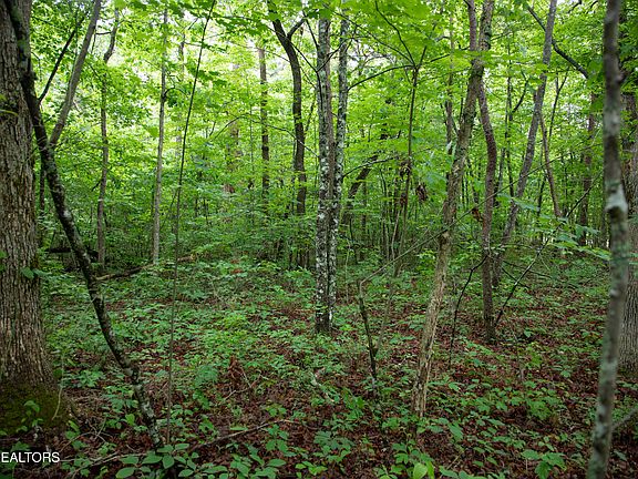 4th image of LOT Six Cumberland Lakes Dr