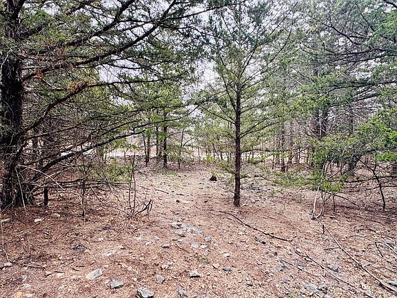 54th image of this home