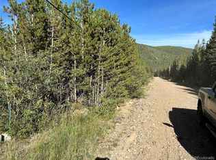 343 Aspen Rd, Idaho Springs, CO 80452