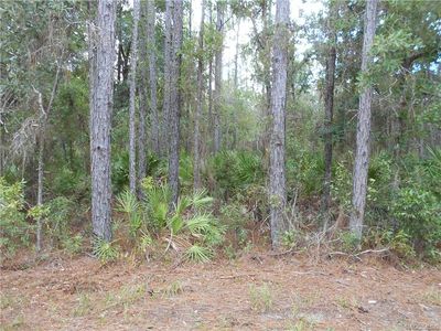 3386 N Amphibian Point, Crystal River, FL, 34428