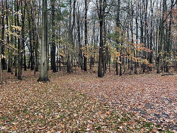 2nd image of 1331 Fox Run Dr #A