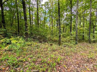 0 Staghorn Dr, Waynesville, NC 28785