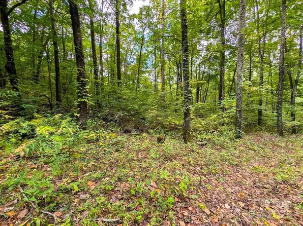 0 Staghorn Dr, Waynesville, NC 28785