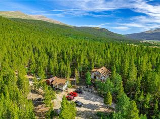 154 Magnus Cir, Alma, CO 80420