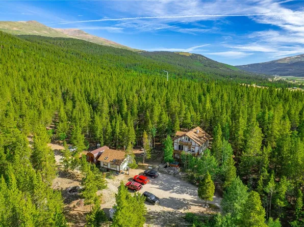 154 Magnus Cir, Alma, CO 80420