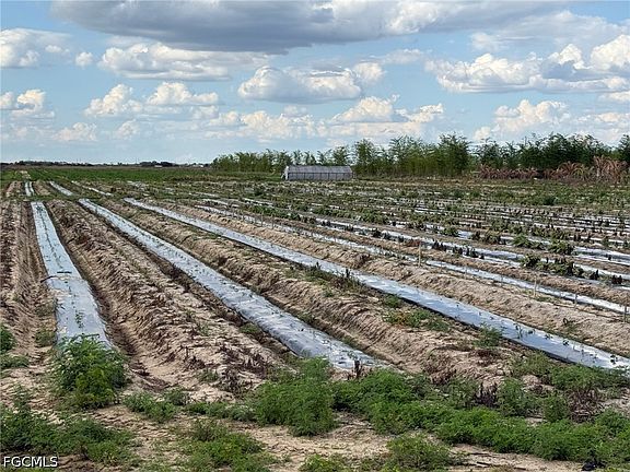 2nd image of 6550 1st Rd