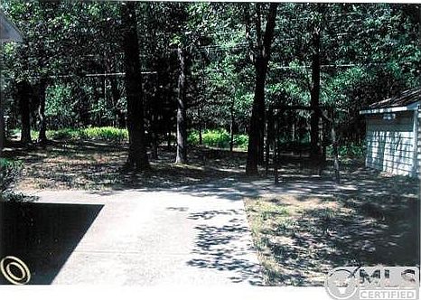 VitasinskiShadedBackYard.jpg