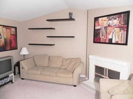 Living room and fireplace