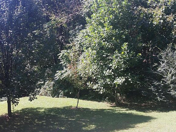 3rd image of 3141 Glenmont Dr
