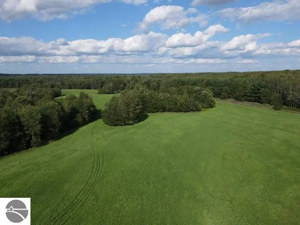 60th Ave, Marion, MI 49665