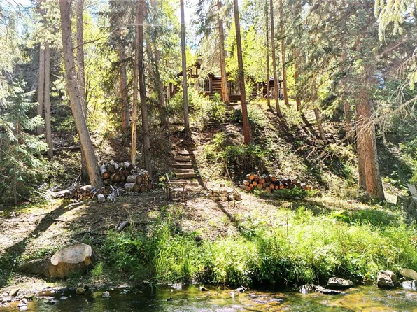 7739 County Road 43, Bailey, CO 80421