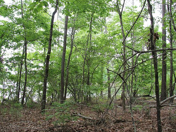 5th image of LOT 35 Lot 35 Kennebec