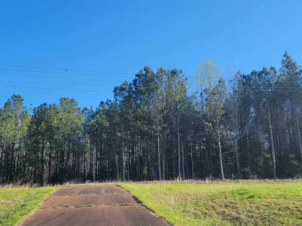 8807 Highway 64 W, Bethel Springs, TN 38315