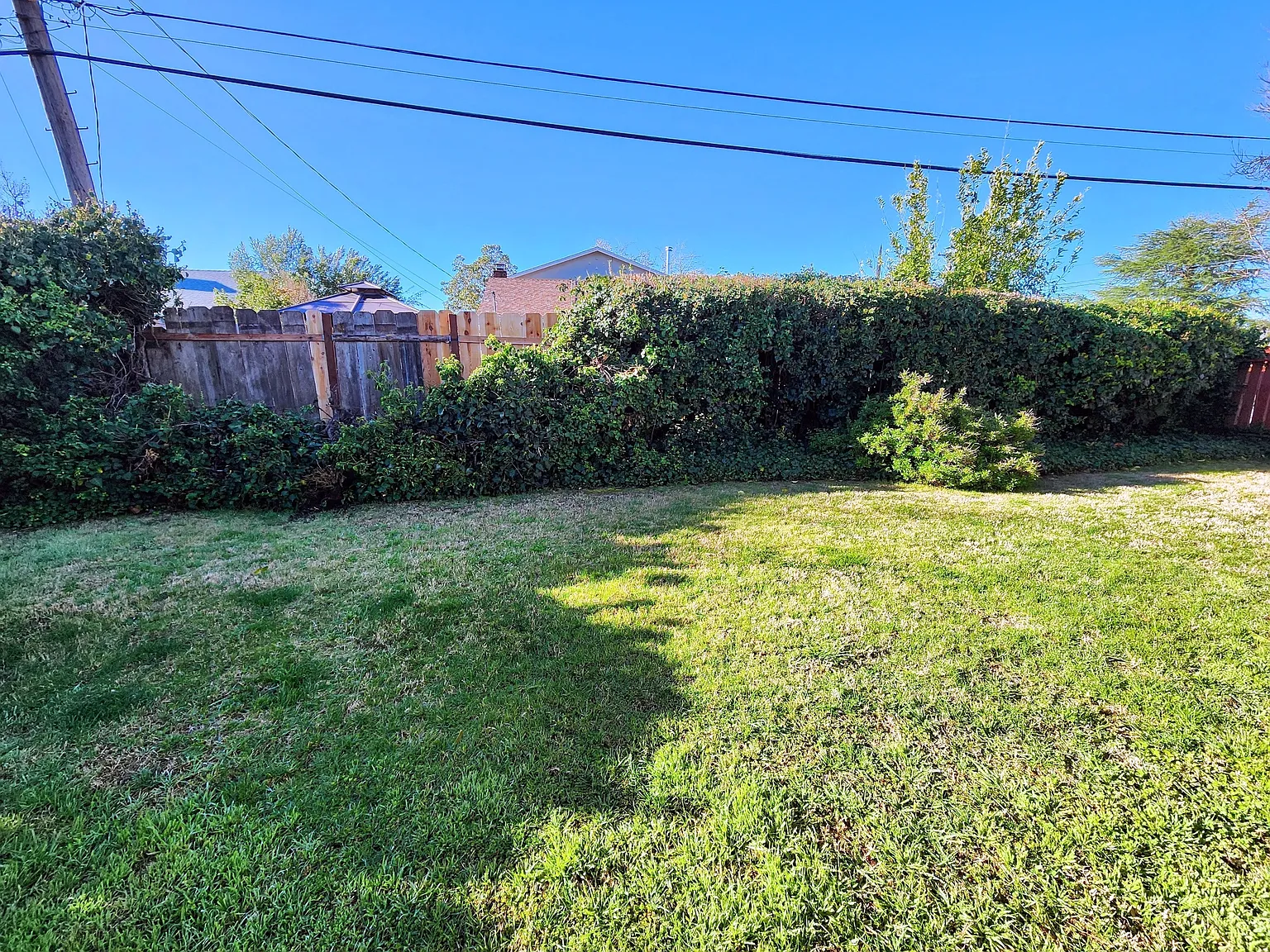 David,650 - 1 — Photo 4