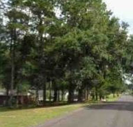 Exterior Neighborhood (street photo)