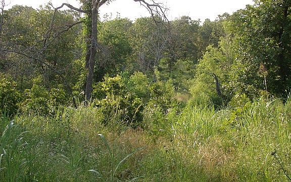 Next to Core land and small Creek