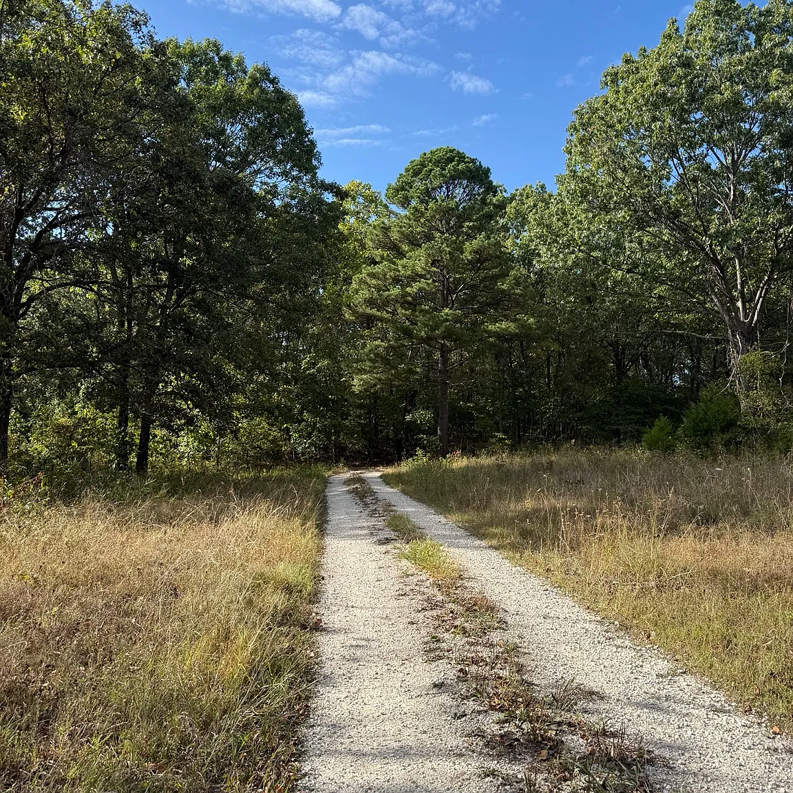 2 bed, 700 sqft, $1,950 — Photo 4