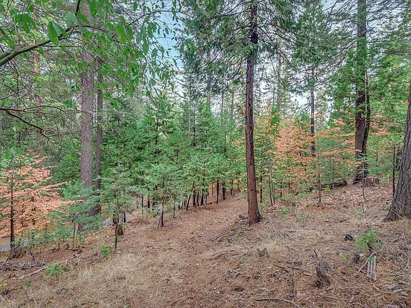 5th image of 1695 Manzanita Dr