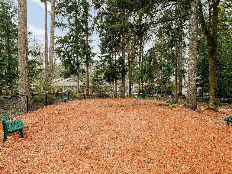 Yauger Park — Photo 28